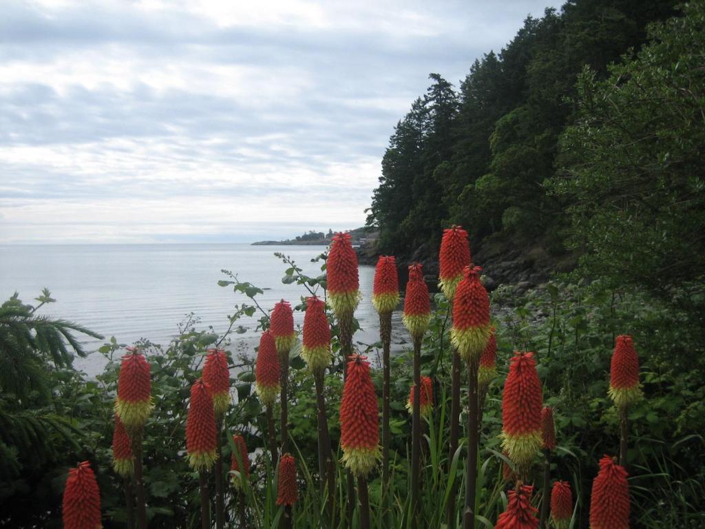 The Lodge At Weir'S Beach Metchosin Екстериор снимка